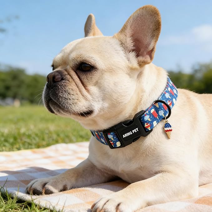 ARING PET Summer Dog Collar, Cute Blue Ice Pop Ice Cream Pet Collars for Puppy Small Medium Large Female Girl Dogs-M, for Daily Walking Training Beach Outdoor Play