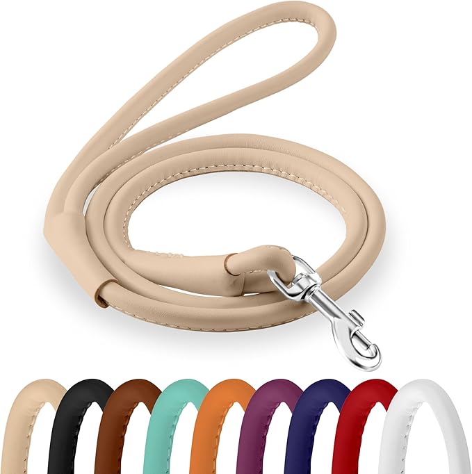 CollarDirect Rolled Leather Dog Leash, 6ft, Beige