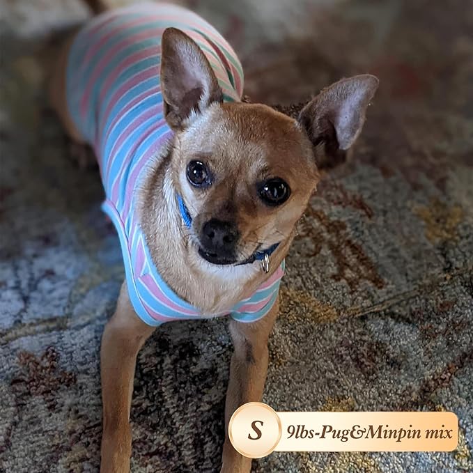 KYEESE 2Pack Dog Shirt, Soft Striped Dogs T Shirts, Lightweight Doggie Tank Top Cat Clothes, Sleeveless Dog Shirt for Small Dogs, Stretchy Pet Vest, Green, Small