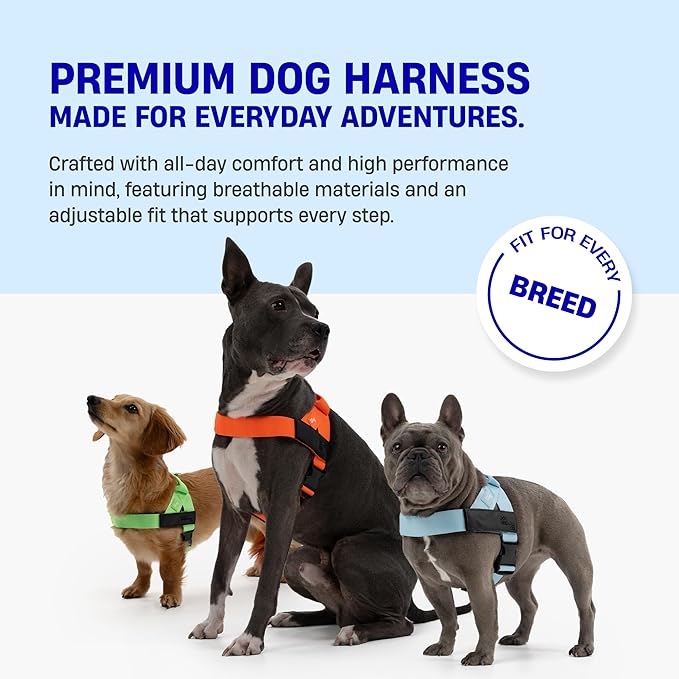 DF Co. Dog Harness | Chafe Resistant Webbing, Adjustable Neck & Chest, and Heavy Duty D-Ring | Sturdy, Comfortable, Easy to Use | Pink Camo, Size M