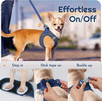 Eagloo Small Dog Harness and Leash Set, Step in Puppy Vest with Breathable Soft Mesh, Walking Reflective Pet Harness for Extra Small Dogs, Navy Blue, XXS