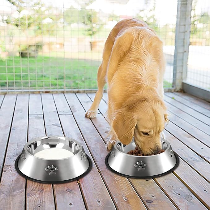 YUDANSI 2 Stainless Steel Dog Bowls, Dog Feeding Dishes, Doggie Plate Food Bowls with Rubber Base, Small and Medium Pet Feeder for Food and Water (M-16.6oz)
