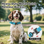 Joytale Tactical Dog Collar for Medium Dogs with Control Handle, Heavy Duty Military Training Collar for Power Breeds, AirTag Holder Case, Quick Release Metal Buckle, Soft Padded, M, Sky Blue