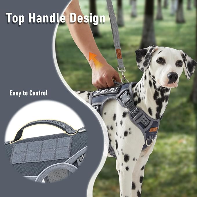 Service Dog Vest Harness with 2 Velcro Patches, No Pull Dog Harness for Walking Training Hiking, Metal D-Rings Easy on/Off Neck Buckle Reflective Strips Soft Padded Handle, Gray