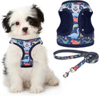 KOOLTAIL Dog Harness and Leash Set for Small Medium Dogs, Step in No Pull Soft Mesh Dog Harness Comfort Padded Pet Vest, Adjustable Reflective Easy Walking Puppy Cats Harnesses Training, Dinosaur M