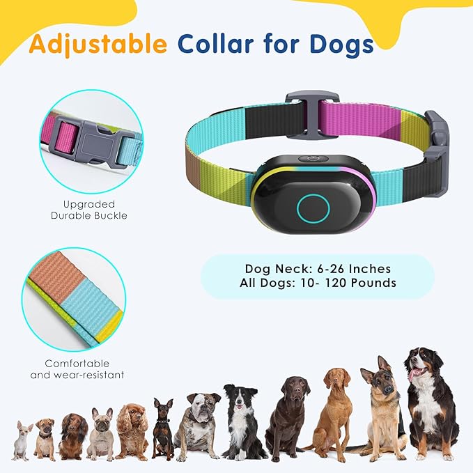 Lychee Training Collar (Black)