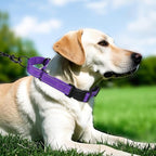 Martingale Collar for Dogs with Quick Release Buckle, Reflective Soft Padded & Escape Proof, Adjustable Nylon Dog Collars for Training & Daily Walking (Purple,M)