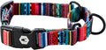 Wolfgang Heavy Duty Martingale Dog Collar with Quick Release Nylon Buckle for Walking & Training, Quetzal Print, Small