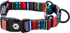 Wolfgang Heavy Duty Martingale Dog Collar with Quick Release Nylon Buckle for Walking & Training, Quetzal Print, Medium