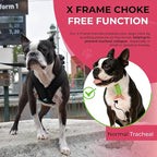 Gooby Comfort X Head in Harness - Black, Small - No Pull Dog Harness, Patented Choke-Free X Frame - Perfect on The Go Dog Harness for Medium Dogs No Pull or Small Dogs for Indoor and Outdoor Use
