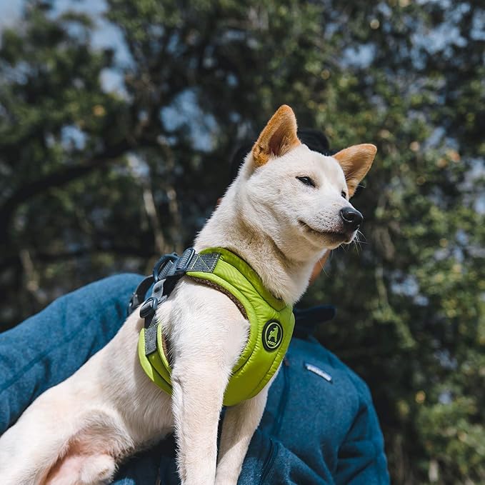 Gooby, Medium Green Memory Foam Escape Free Harness with 4-Point Adjustment for Small Dogs