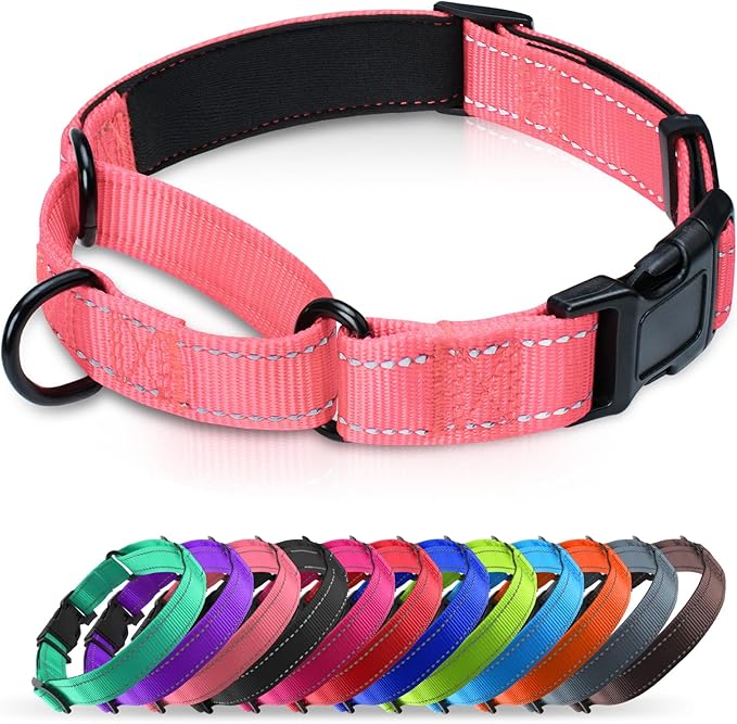 Martingale Collar for Dogs with Quick Release Buckle, Reflective Soft Padded & Escape Proof, Adjustable Nylon Dog Collars for Training & Daily Walking (Neon Pink,XS)