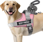 AUROTH Dog Harness and Leash Set, Soft Padded Service Dog Vest with 5.25FT Dog Leash, No Choke, Easy On Pet Vest, Adjustable Reflective No Pull Dog Harness for Large Dogs, Easy Walking and Training