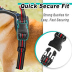 BARKBAY Dog Harness No Pull Mesh for Small Dogs - Adjustable, Reflective, Comfortable, No Choke, Heavy-Duty - Perfect for Outdoor Training, Walking, and Hiking - Strong & Durable- XS & Blue Star Mesh