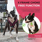 Gooby Comfort X Head In Harness - Purple, Medium - No Pull Small Dog Harness, Patented Choke-Free X Frame - Perfect on the Go Dog Harness for Medium Dogs No Pull, Small Dogs for Indoor and Outdoor Use