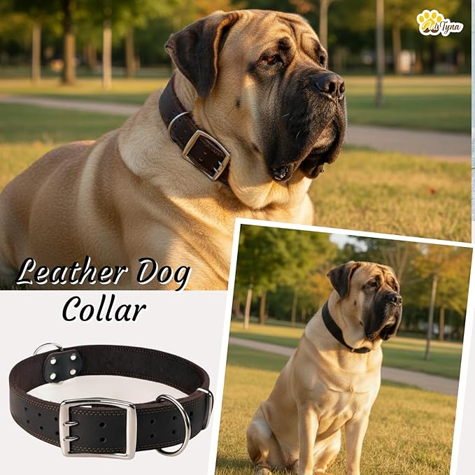 ADITYNA Big Leather Dog Collar - XXL Dog Collar for Giant Breeds Such as Mastiff, Saint Bernard, Newfoundland, Kangal (Black, Giant: Fit 30" - 36" Neck)
