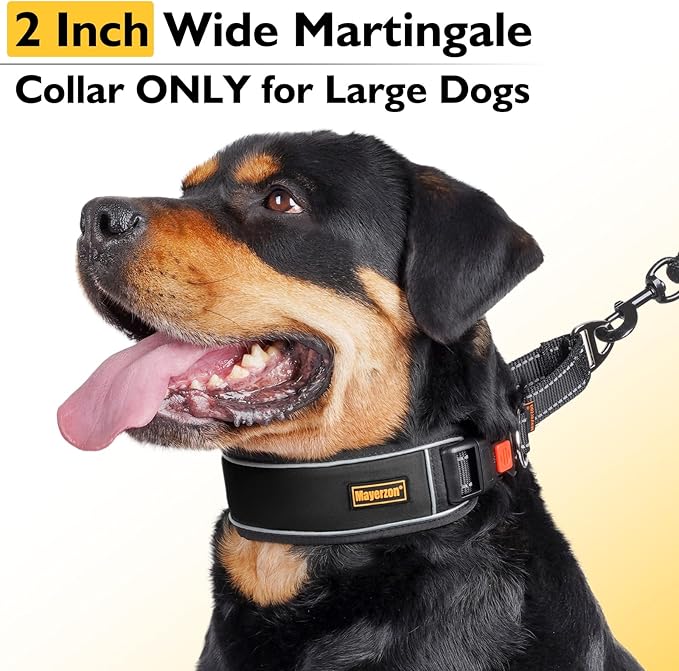 Mayerzon 2 Inch Wide Martingale Collar for Large Dogs, Patented No Pull Walking Training Dog Collar for Pitbull German Shepherd, with Buckle, Reflective Stitching, Adjustable (Black, M)
