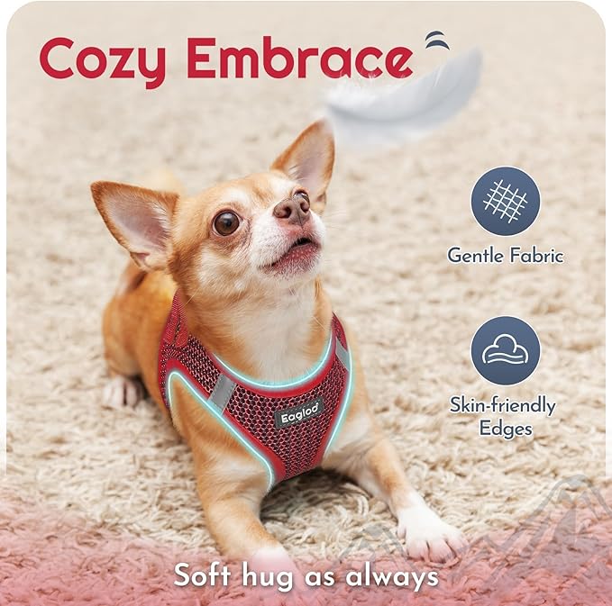 Eagloo Small Dog Harness and Leash Set, Step in Puppy Vest with Breathable Soft Mesh, Walking Reflective Pet Harness for Extra Small Dogs, Red, XXS