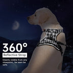 IVY&LANE No Pull Dog Harness with Leash Set, Reflective No Choke Pet Vest,Adjustable Oxford Dog Vest Harness with Easy Control Handle for Small Dogs (Checkered Black,S)