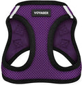 Best Pet Supplies Voyager Step-in Air Harness - All Weather Mesh, Reflective, No Pull Harness for Dogs, Cats - Secure with Hook & Loop Fastener, Buckle, Double D-Rings - Purple/Black Trim, M