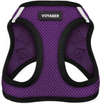 Best Pet Supplies - All Weather Mesh/Plush, Reflective, No Pull Harness for Small, Medium Dogs, Cats - Secure with Hook & Loop Fastener, Buckle, Double D-Rings - Purple/Black Trim, XL