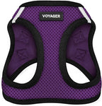 Best Pet Supplies Voyager Step-in Air Harness - All Weather Mesh, Reflective, No Pull Harness for Dogs, Cats - Secure with Hook & Loop Fastener, Buckle, Double D-Rings - Purple/Black Trim, M