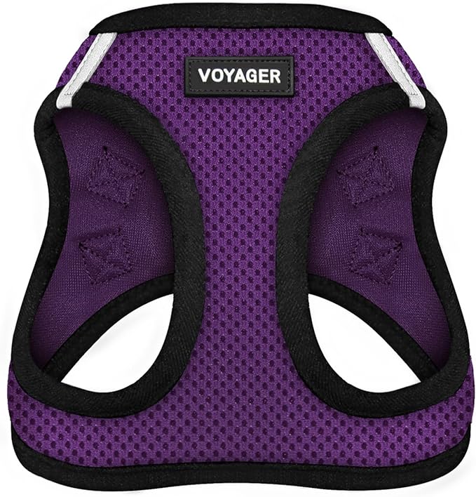 Best Pet Supplies - All Weather Mesh/Plush, Reflective, No Pull Harness for Small, Medium Dogs, Cats - Secure with Hook & Loop Fastener, Buckle, Double D-Rings - Purple/Black Trim, L