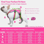 Huntboo Escape Proof Dog Harness, Escape Artist Harness, Reflective Dog Harness with Handle, Durable,Adjustable Vest for Small Medium Large Dogs Walking, Training, and Running Gear(Rose Red, S)