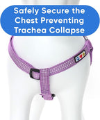 Pawtitas Reflective Step-in Dog Harness – Adjustable No-Pull Vest for Puppies to Seniors, Safe & Comfortable, M Orchid