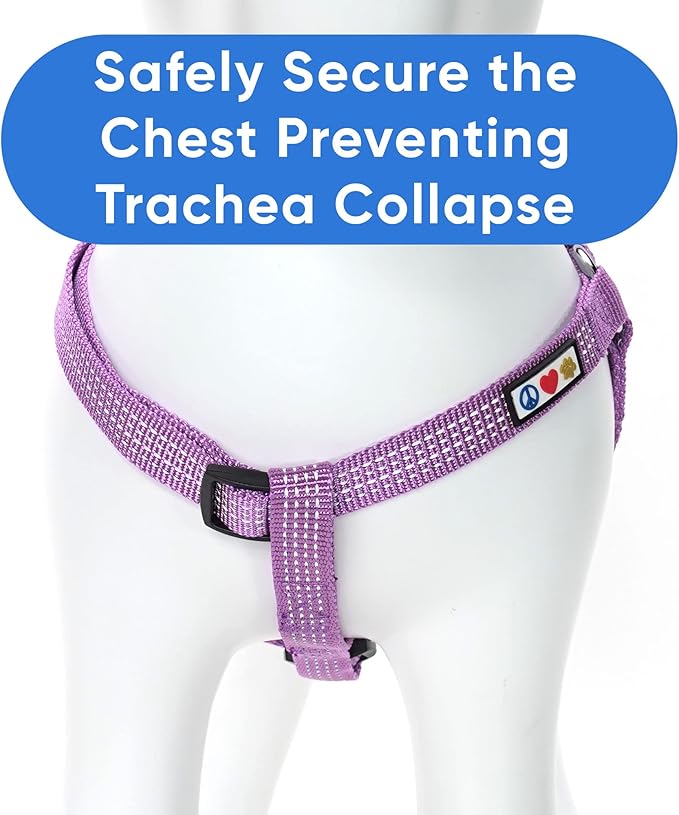 Pawtitas Reflective Step-in Dog Harness – Adjustable No-Pull Vest for Puppies to Seniors, Safe & Comfortable, XS Orchid