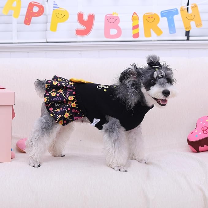 CuteBone Core Spun Birthday Dog Sweater Dress for Small Dogs Girl, Turtleneck Embroidery Medium Dog Sweater with Leash Hole, Dog Coat for Chihuahua Yorkie Teacup DS105XL