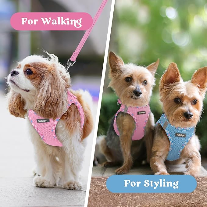 rabbitgoo Small Dog Harness, Step-in Soft Mesh Puppy Vest with Safety Buckle, Breathable Reflective Pet Harness for Small Sized Dogs, Pink & Plaid Trim S