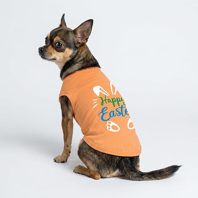 Fitwarm Happy Easter Bunny Dog Shirt, Easter Dog Clothes for Small Dogs Boy Girl, Cute Pet Outfit, Green, Blue, White, Orange, XL
