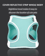 Solmoony Dog Harness for Small Medium Dogs No Pull, Puppy Harness and Leash Set, Puppy Harness for Small Dogs, Step in Harness for Small Dogs, mesh Dog Harness. (Bule, L)