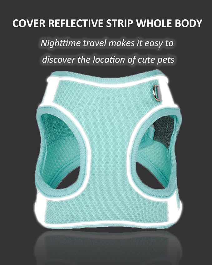 Solmoony Dog Harness for Small Medium Dogs No Pull, Puppy Harness and Leash Set, Puppy Harness, Step in Harness for Small Dogs, mesh Dog Harness. (Bule, XXS)