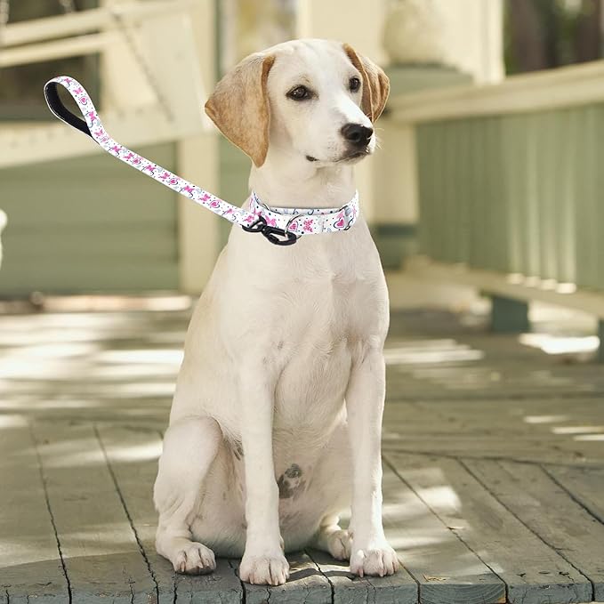 Martingale Collar and Leash Set, Premium No Slip Martingale Collar for Dogs Medium Large, Girl Dog Collars Training (NO19, L)
