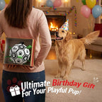 QDAN Large Dog Toys, 8 Inch Soccer Ball for Dogs with Straps, World Cup Interactive Toys for Tug of War, Puppy Birthday Gifts, Water Toy, Durable Dog Balls for Medium Large