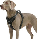 Funfox Dog Harness for X-Large Dog No Pull, Adjustable Pet Vest Harness, Vertical Handle Easy Control with 2 Leash Clips, Soft Material, Reflective Safe Night Walking for X-Large Size, Black, XL