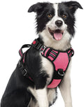 rabbitgoo Dog Harness Medium Sized, No Pull Dog Vest with 3 Buckles, Adjustable Soft Padded Pet Harness with Easy Control Handle and Reflective Strips, Pink, M
