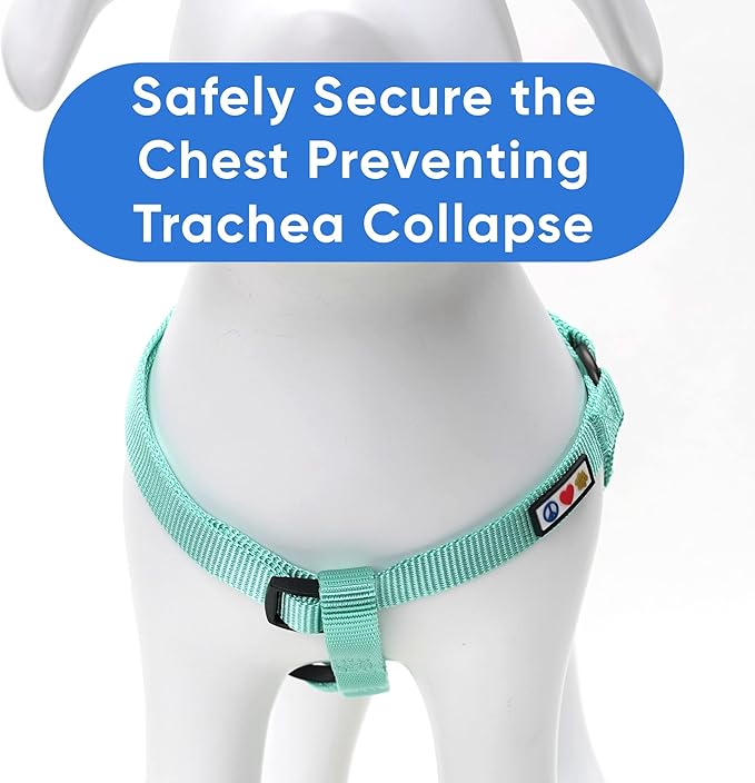 Pawtitas Solid Step-in Dog Harness – Adjustable No-Pull Vest for Puppies to Seniors, Safe & Comfortable XS Teal