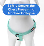 Pawtitas Solid Step-in Dog Harness – Adjustable No-Pull Vest for Puppies to Seniors, Safe & Comfortable XS Teal