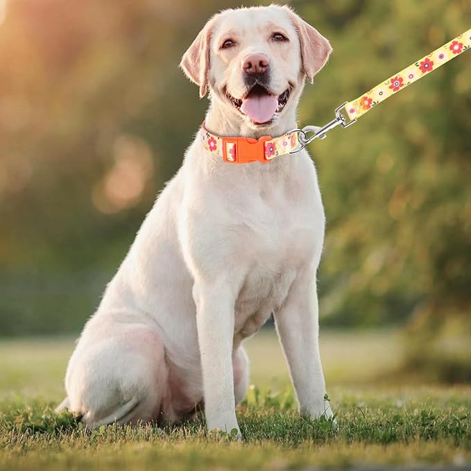 Dog Collar with Leash Airtag Holder Case Set - Dog Collars for Male Female Boy Girl Puppy X-Small Small Medium Large Dogs Walking Running Training - Orange Daisy/L