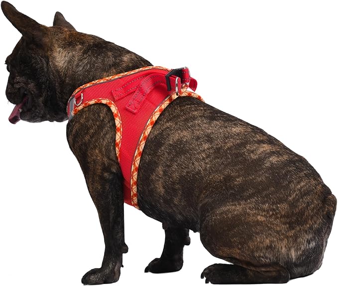 AMTOR Small Dog Harness with Leash Set, No Escape Easy Walk Puppy Harnesses for Training Walking, Step-in Reflective Soft Dogs Vest for XS S Medium Extra-Small Large Sized Dog(Red,M)