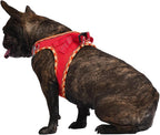 AMTOR Small Dog Harness with Leash Set, No Escape Easy Walk Puppy Harnesses for Training Walking, Step-in Reflective Soft Dogs Vest for XS S Medium Extra-Small Large Sized Dog(Red,L)