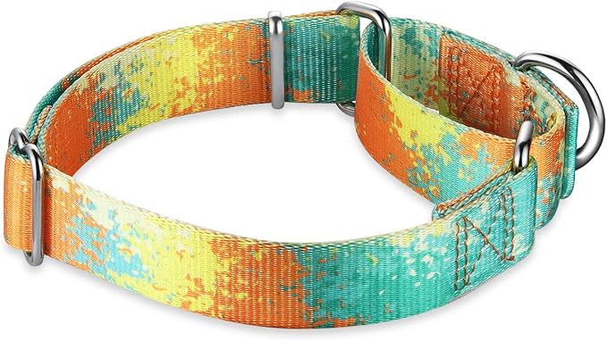 Martingale Dog Collar Escape-Proof for Training - No-Buckle, Durable Polyester Design for Medium Breeds (Deserts and Oases,M)