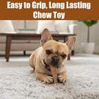 SPOT Bam-Bones Plus T-Bone, Bamboo Fiber & Nylon Dog Chew, Durable for Aggressive Chewers, Non-Splintering, for Adult Dogs & Teething Puppies Under 30lbs, 4in, Chicken Flavor