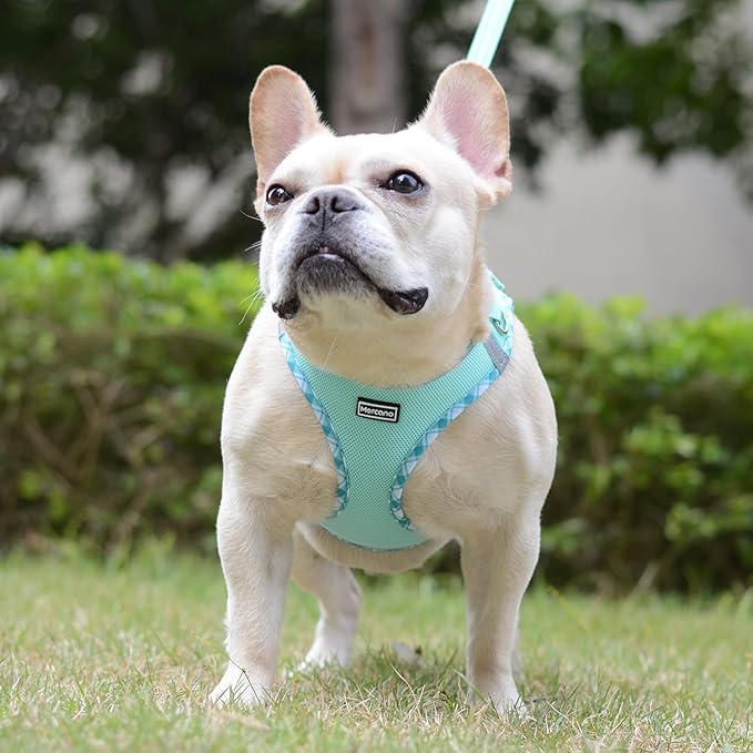 Mercano Soft Mesh Dog Harness and Leash Set, No-Chock Step-in Reflective Breathable Lightweight Easy Walk Vest Harnesses with Safety Buckle for Small Dogs, Cats (Light Green, L)