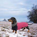 Geyecete Dachshund Coat,Dachshund Winter Coat,Warm Waterproof Windproof, High Neckine String Holes Miniature Dachshund Jacket for Small Dog-Pink-XL