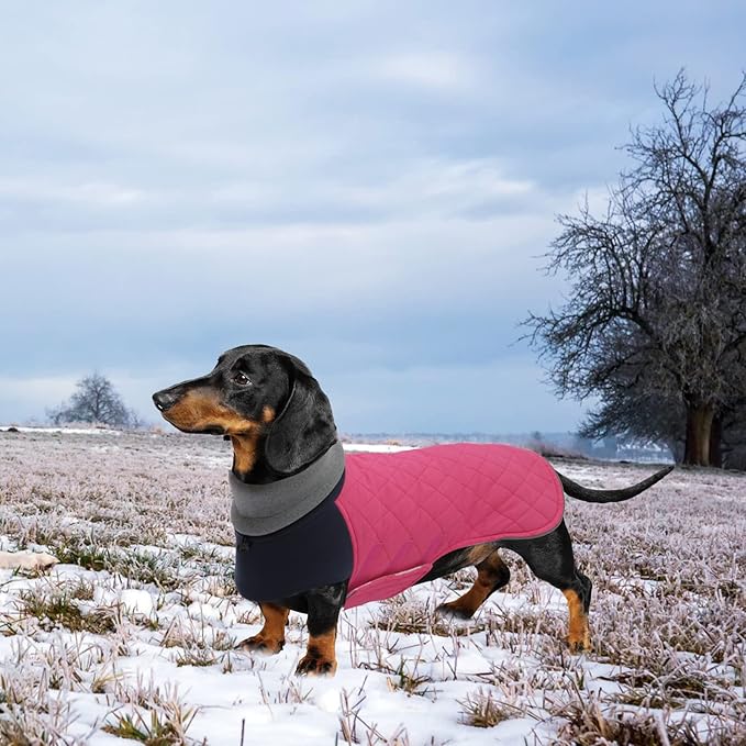 Geyecete Dachshund Coat,Dachshund Winter Coat,Warm Waterproof Windproof, High Neckine String Holes Miniature Dachshund Jacket for Small Dog-Pink-XL