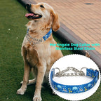 Choke Collar for Dogs - Cartoon Dog Adjustable Training Slip Collar with Chain, Anti Pull Design for Medium & Large Dogs(Medium)